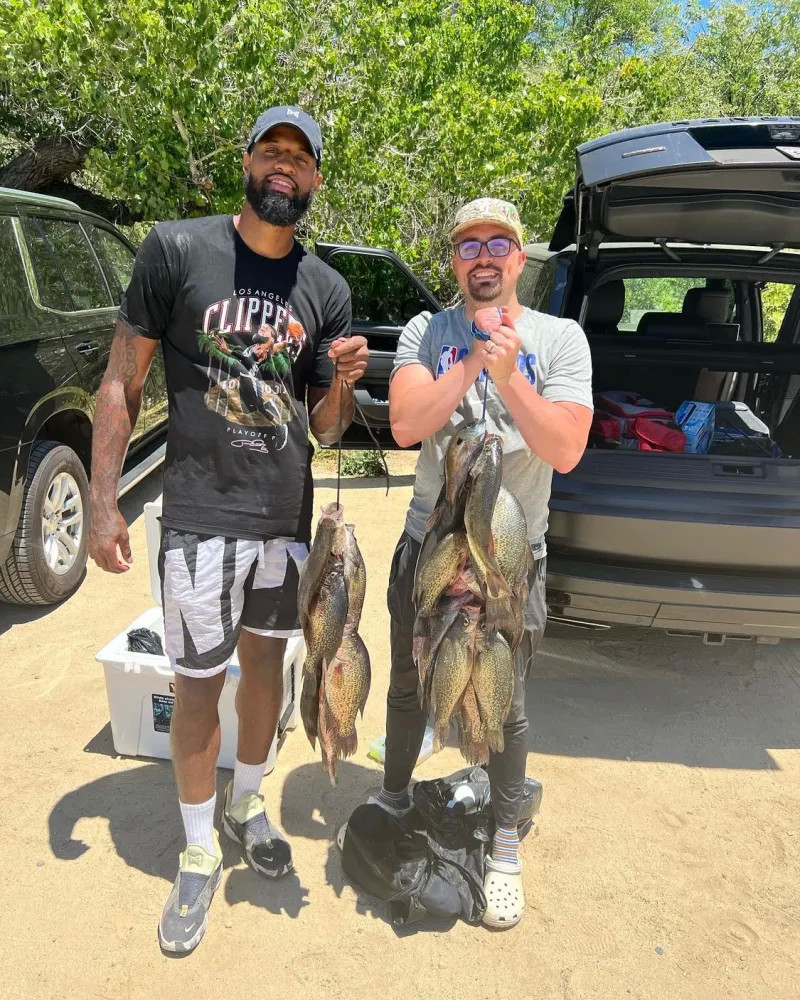 中的表现令 中的表现令